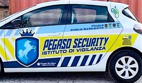 Lavorare per Pegaso Security: recensioni dei dipendenti .